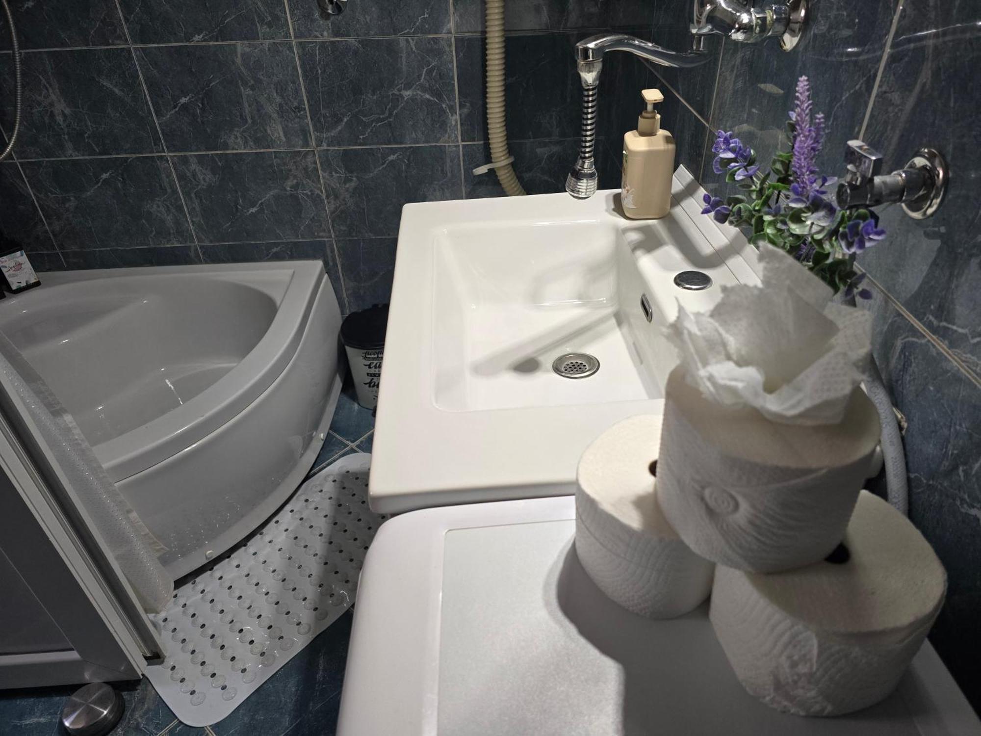 Angelina Apartmani. بلغراد المظهر الخارجي الصورة